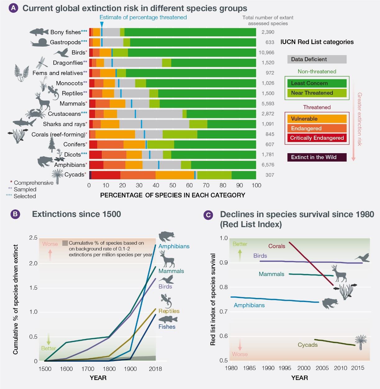 Urgent Action Is Needed To Protect The Natural World | UK Centre For ...